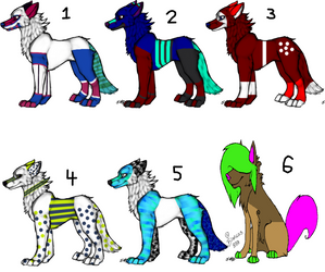 Wolfhome adoptables