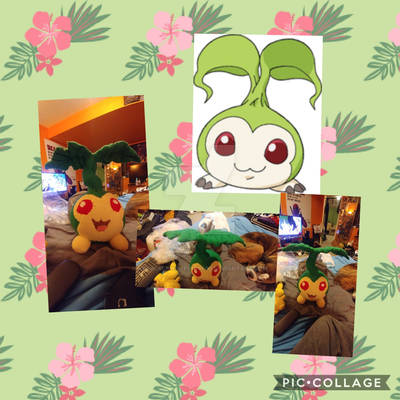 Tanemon plushie