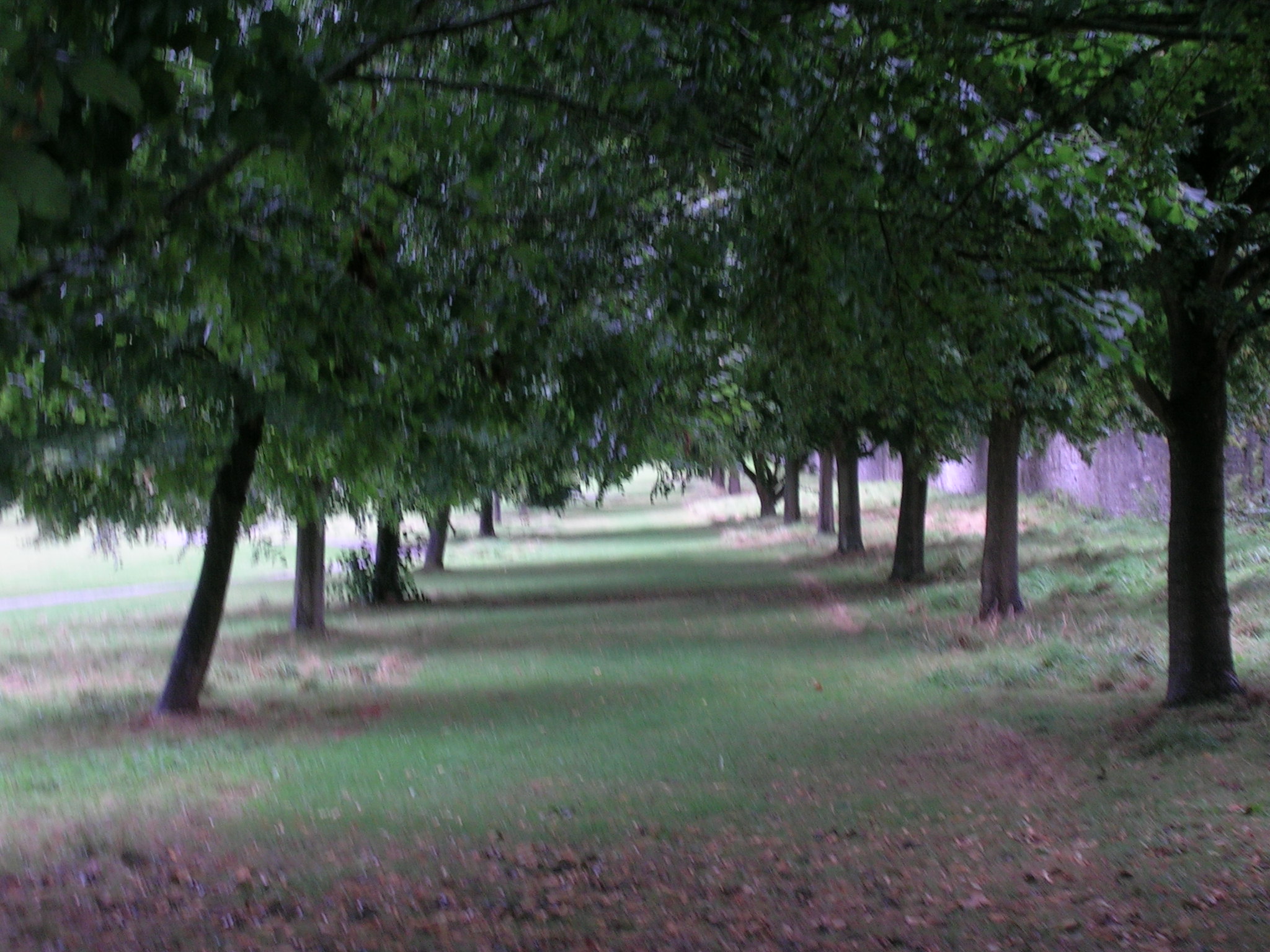 through the faerys road