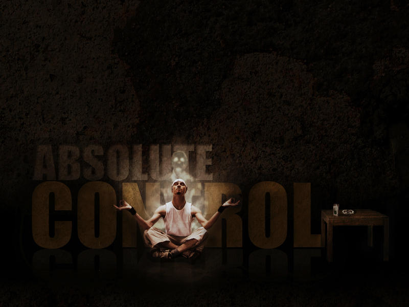 Absolute Control Characters Absolute control by carloscurro on DeviantArt