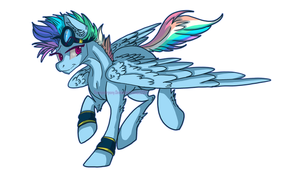 Generation 5 Rainbow Dash