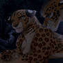 Mira's first litter cubs - TLK OC