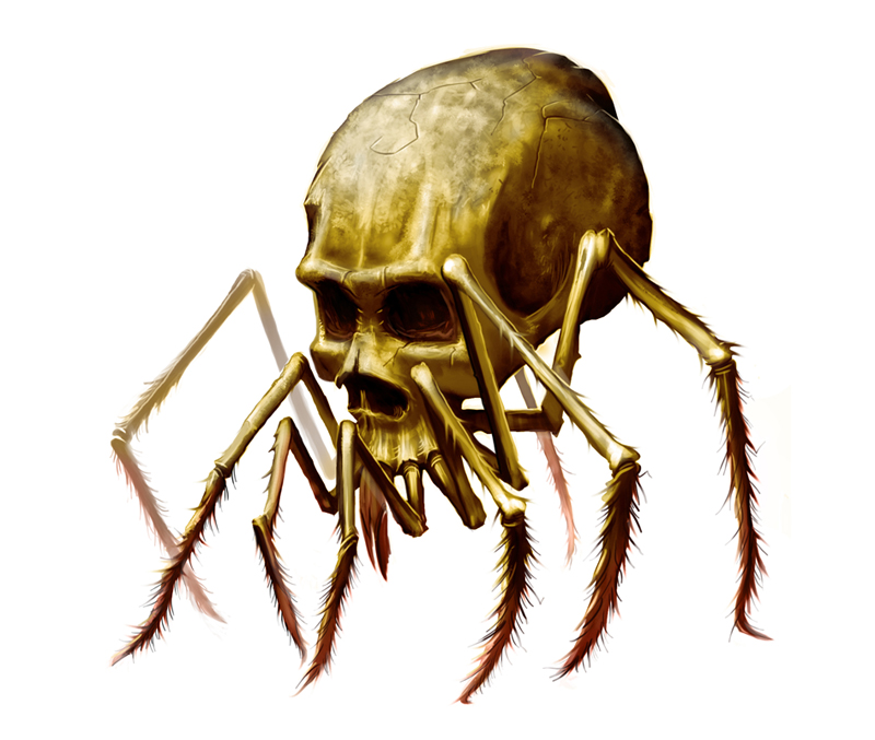 Skull Spider by MichaelJaecks on DeviantArt