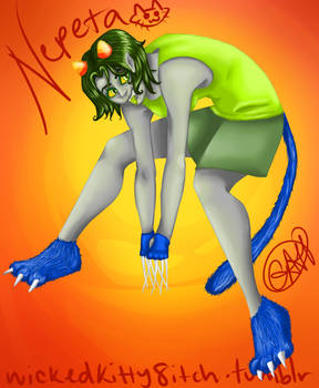 Nepeta Leijon