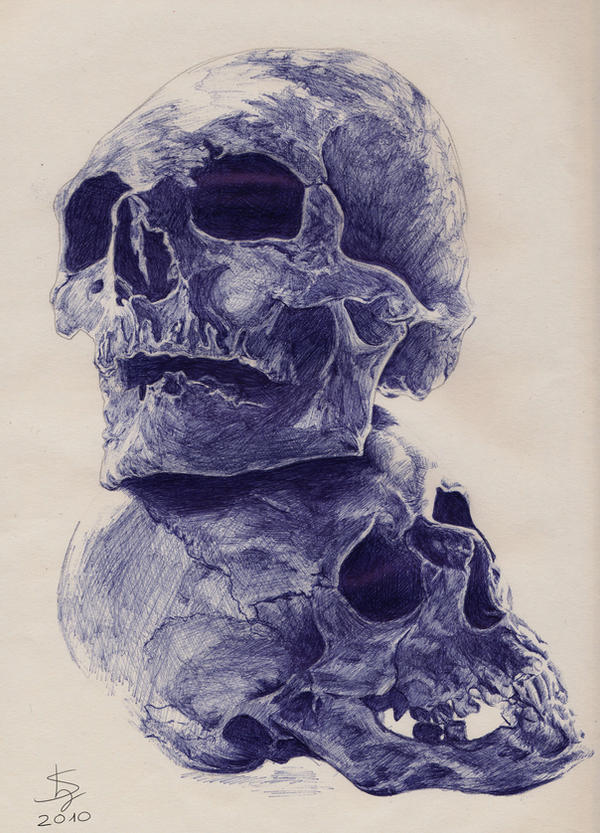 Skull by LC-Shen