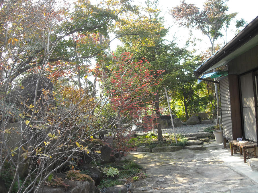 Garden of house in Japan 1