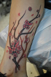 Cherry Blossom Branch