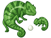 Chameleon Set