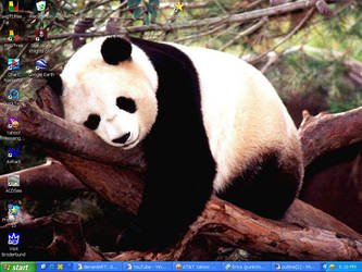 Cute Panda xD
