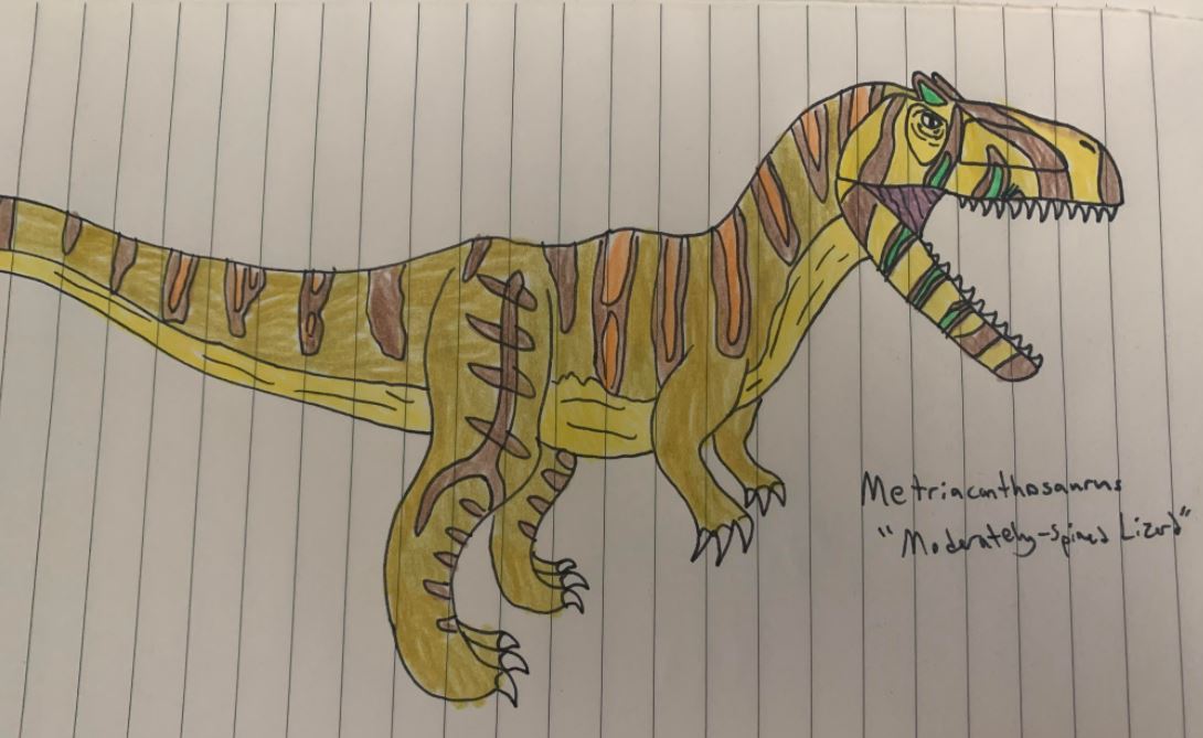 Metrisaurus Drawing Metriacanthosaurus by TitanTamer17 on DeviantArt