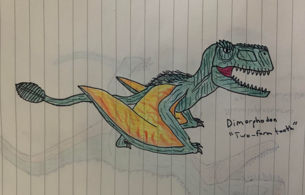 Dimorphodon by TitanTamer17 on DeviantArt