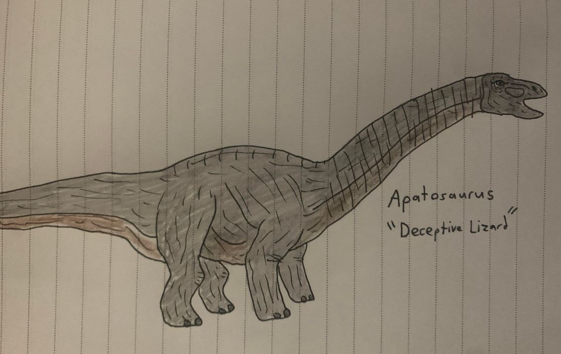 Apatosaurus by TitanTamer17 on DeviantArt