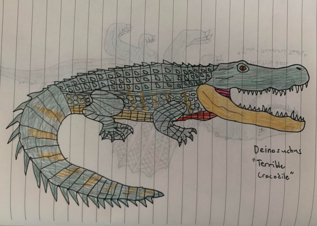 Deinosuchus by HotChocolateStudios on DeviantArt