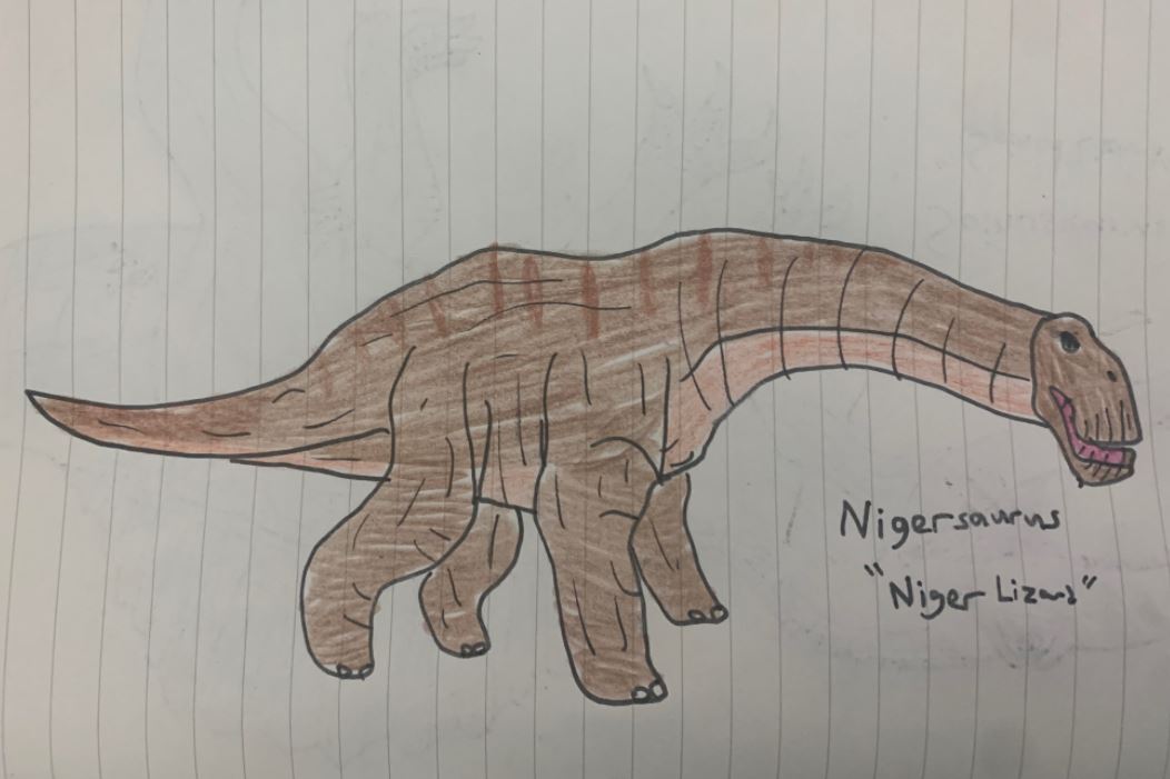 Nigersaurus by TitanTamer17 on DeviantArt