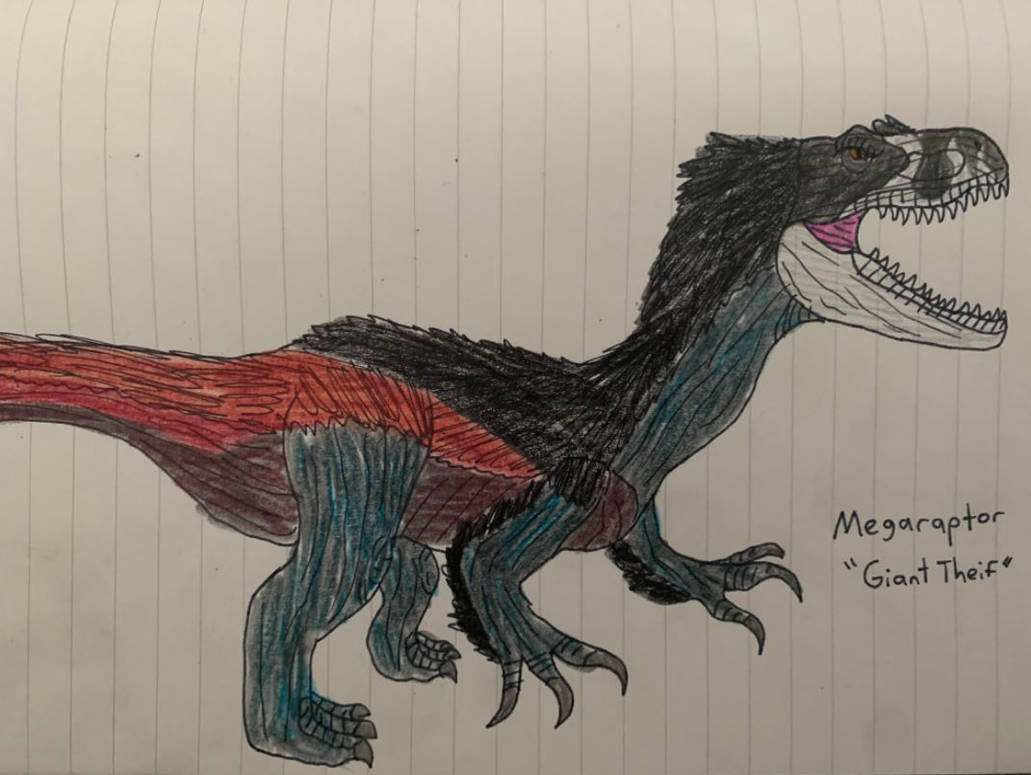 Megaraptor by TitanTamer17 on DeviantArt