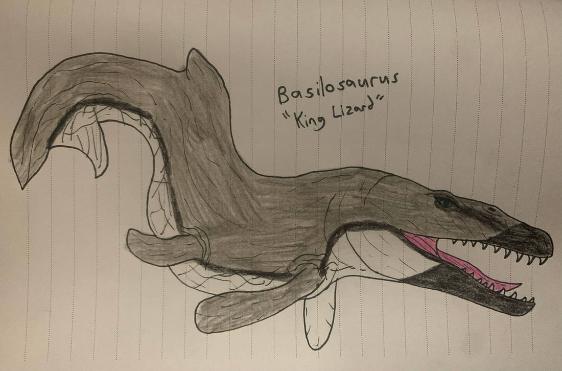 Basilosaurus Deviantart Basilosaurus by TitanTamer17 on DeviantArt