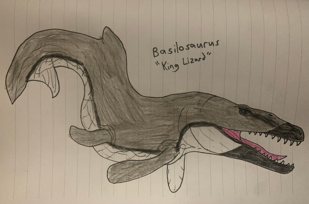Basilosaurus Deviantart Basilosaurus by TitanTamer17 on DeviantArt