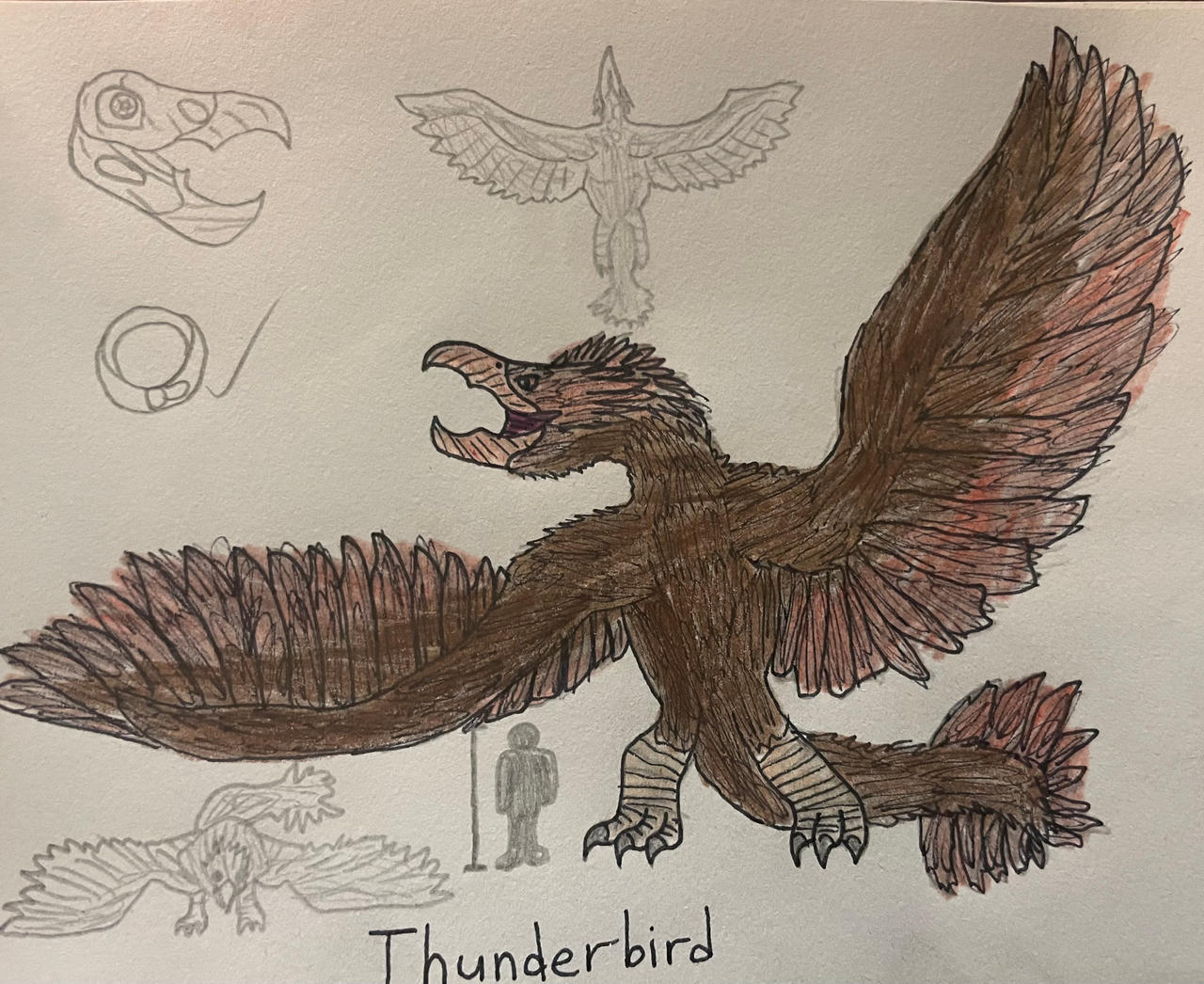 Maxthunderbird Deviantart Thunderbird by TitanTamer17 on DeviantArt