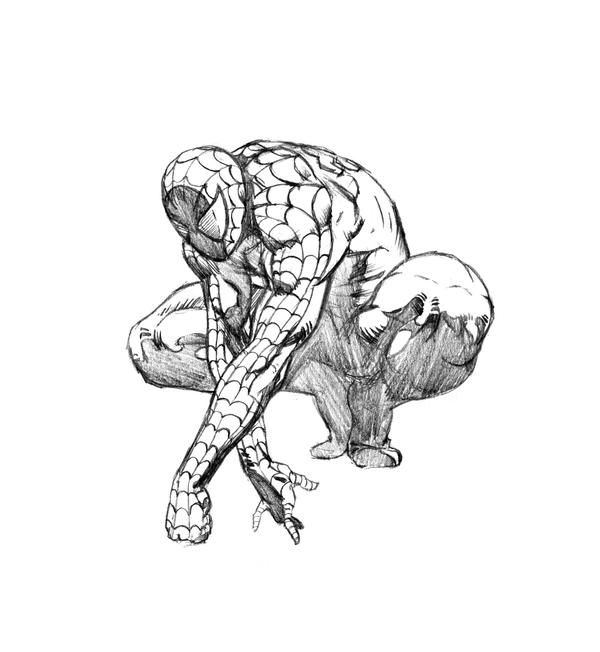 Spider-man sketch