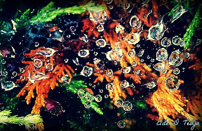 Spluttered by animecomiclovers1234 on DeviantArt