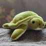Turtle toy