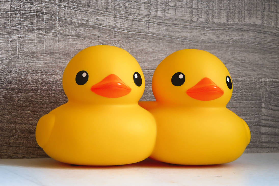 Rubber Duck Project - Double Ducks by eric2b01 on DeviantArt