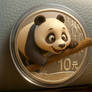 China panda comes out from a silver coin