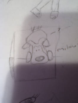 .:milou sitting on a box:.