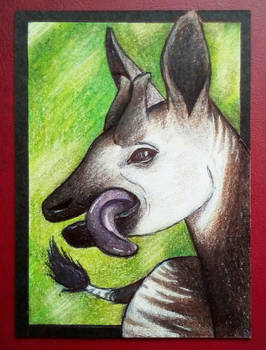 [ATC] Okapi