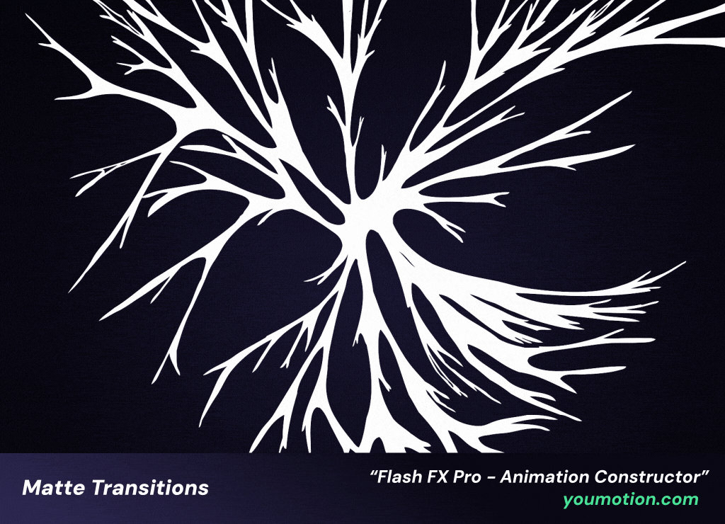 Matte Fx Matte Transitions pt.2 - Flash FX Pro by StudioYM on DeviantArt