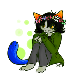 Nepeta