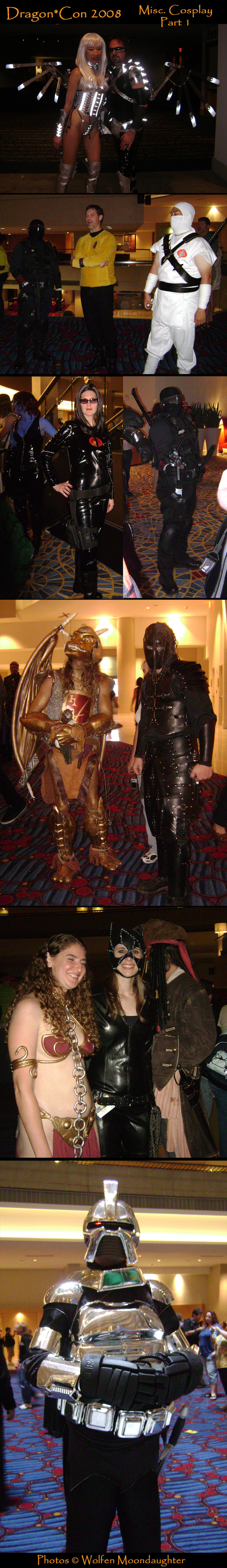 DragonCon 08: Misc Cosplay 1