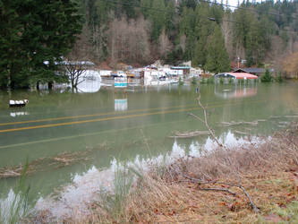 Cedar River Flooding