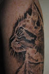 Cat tattoo 1 by IraW0lv