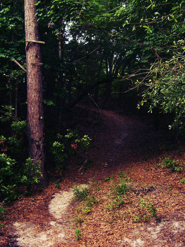 Path Less Traveled by xdead13x on DeviantArt