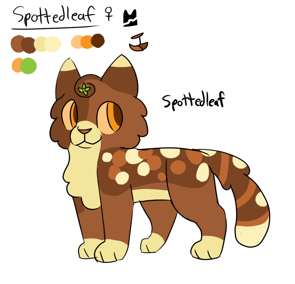 Spotledleaf Spottedleaf ref by Burrferns on DeviantArt
