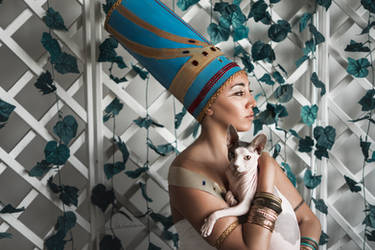 #  Nefertiti