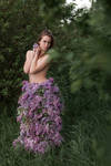 # Lilac by Mishkina