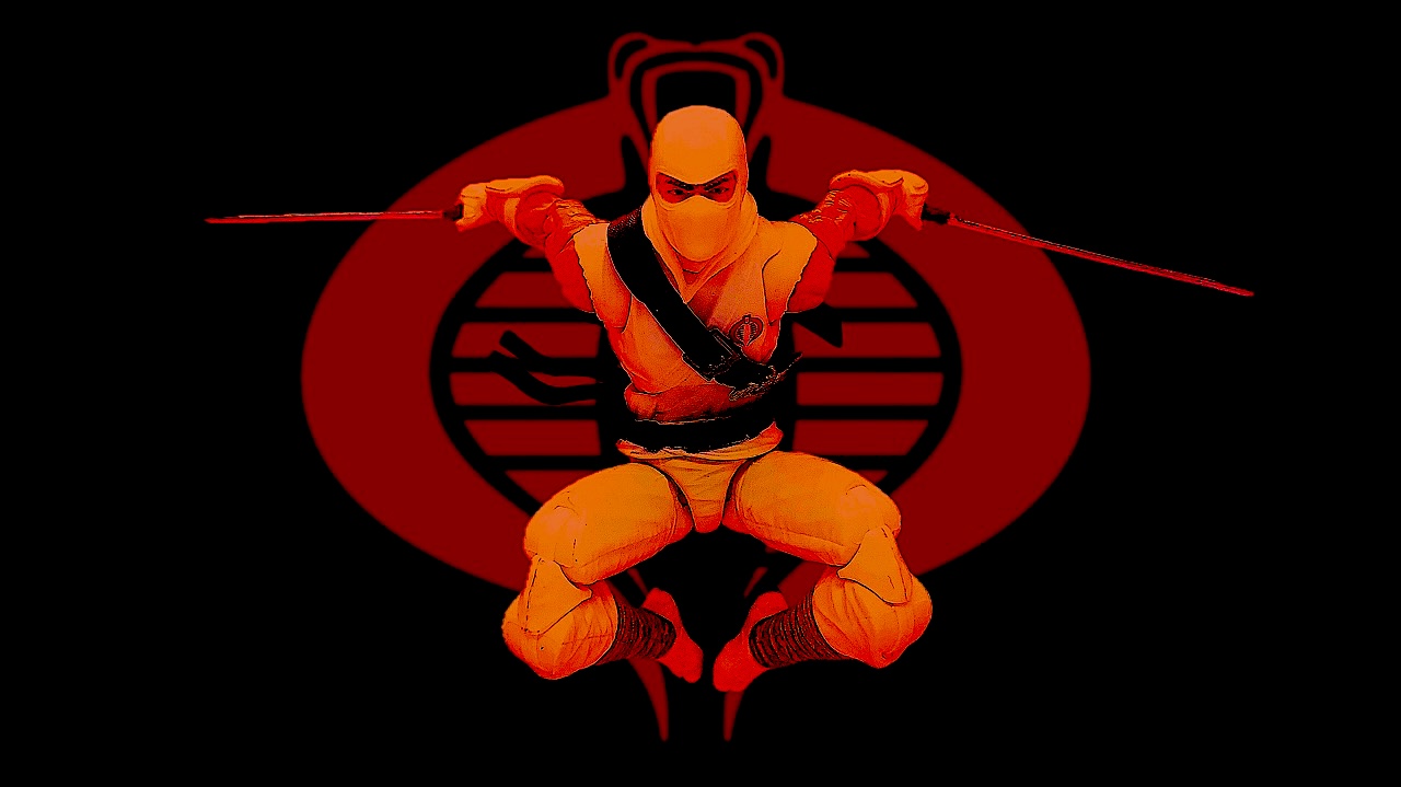 In the Name of Cobra