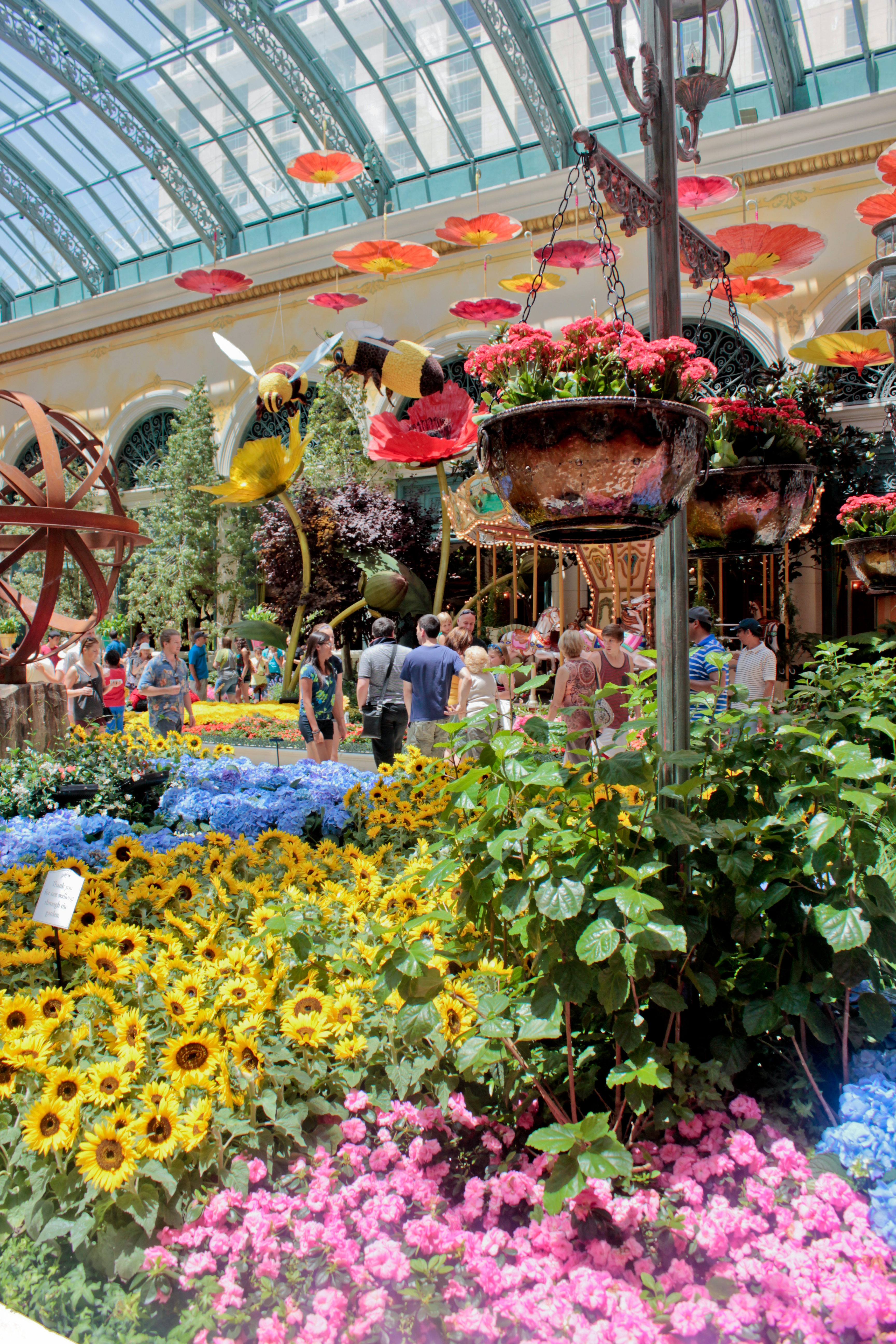 In The Garden of Wynn