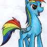 Surprisingly small-winged and sharp-nosed Dashie