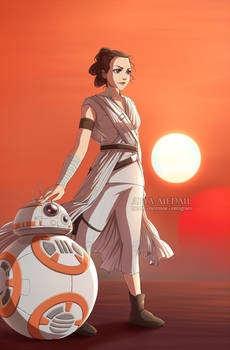 Rey and BB8