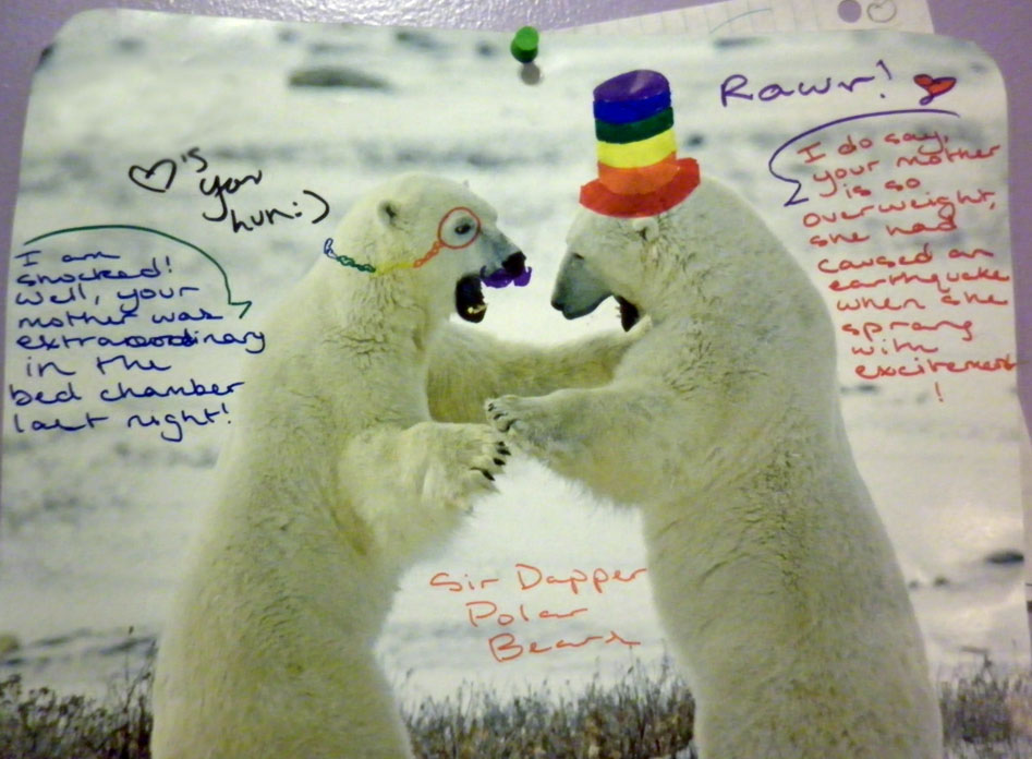 Sir Dapper Polar Bears