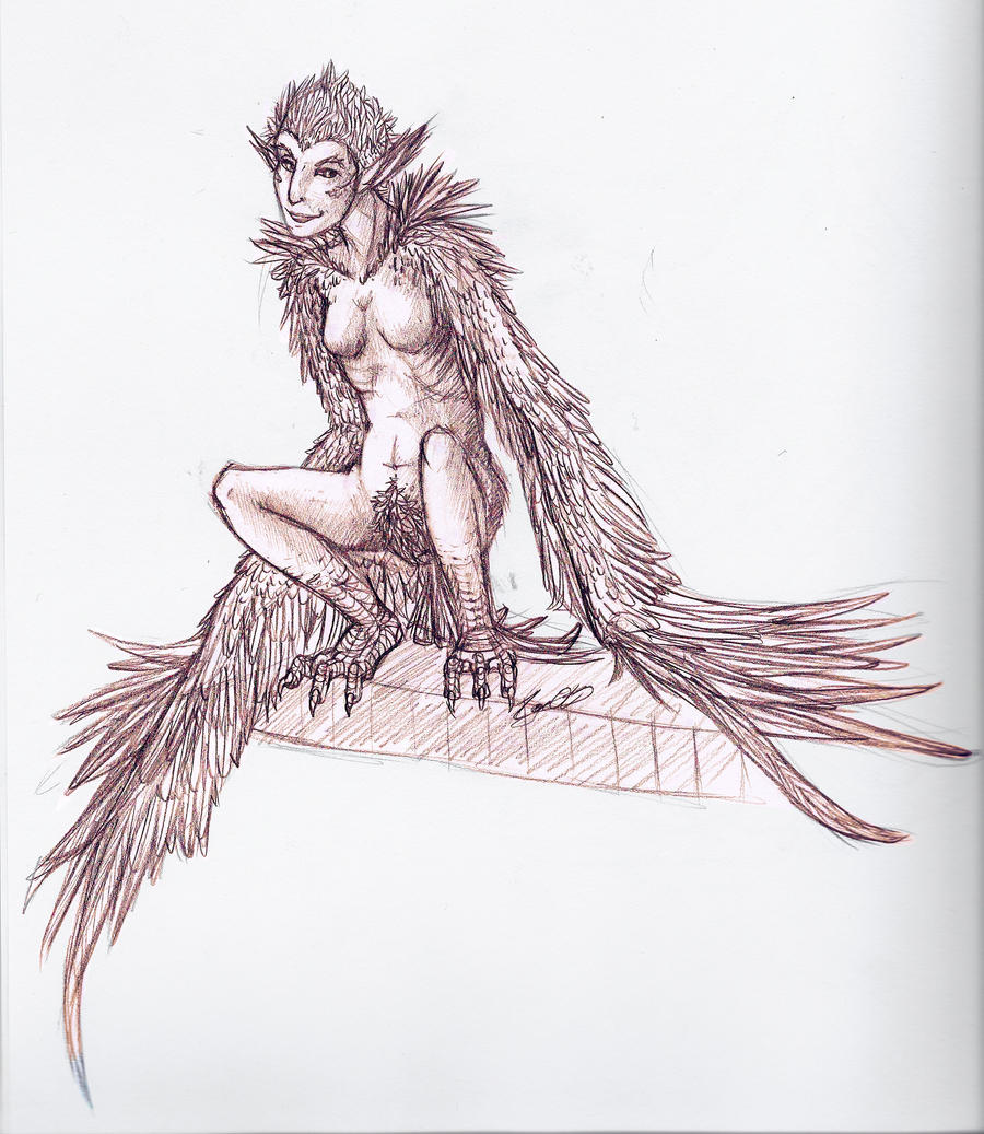 harpy sketch