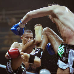 Muay Thai Fighters