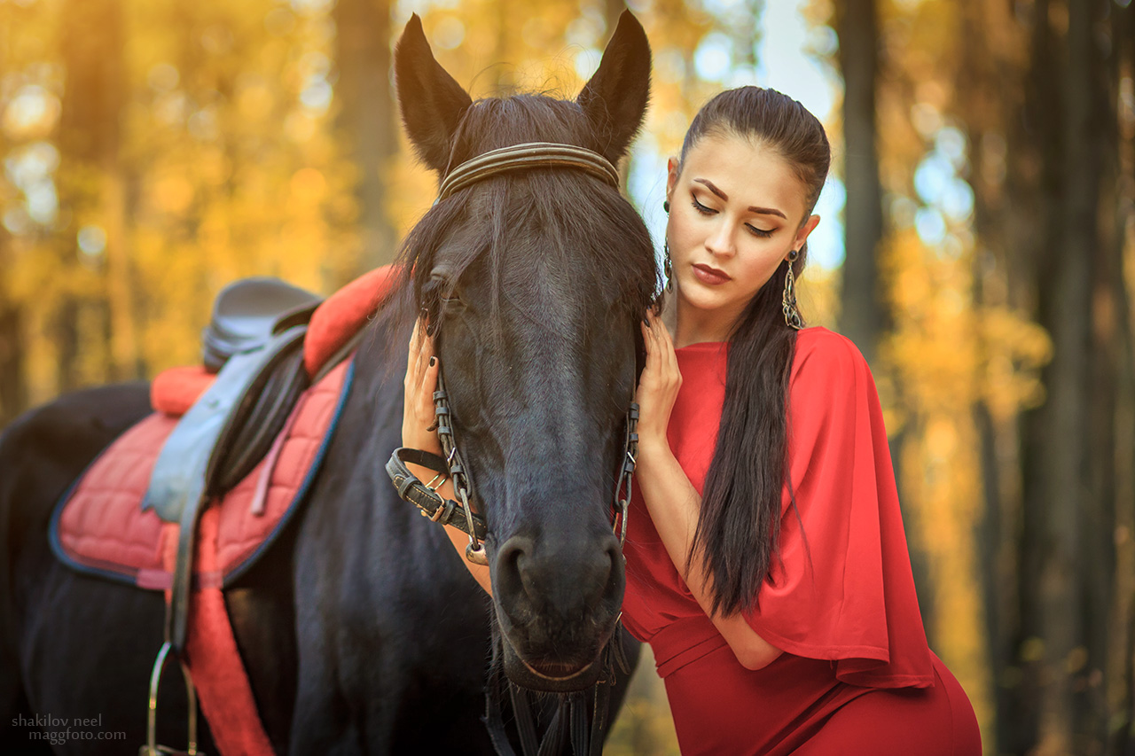 Hugs with Horse