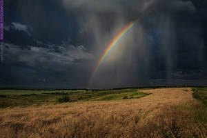 Rare Rainbow in the Dark