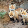 Trio of Small Bandits