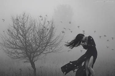 Constricted by a Shadow's Wind