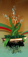 plant cover_2